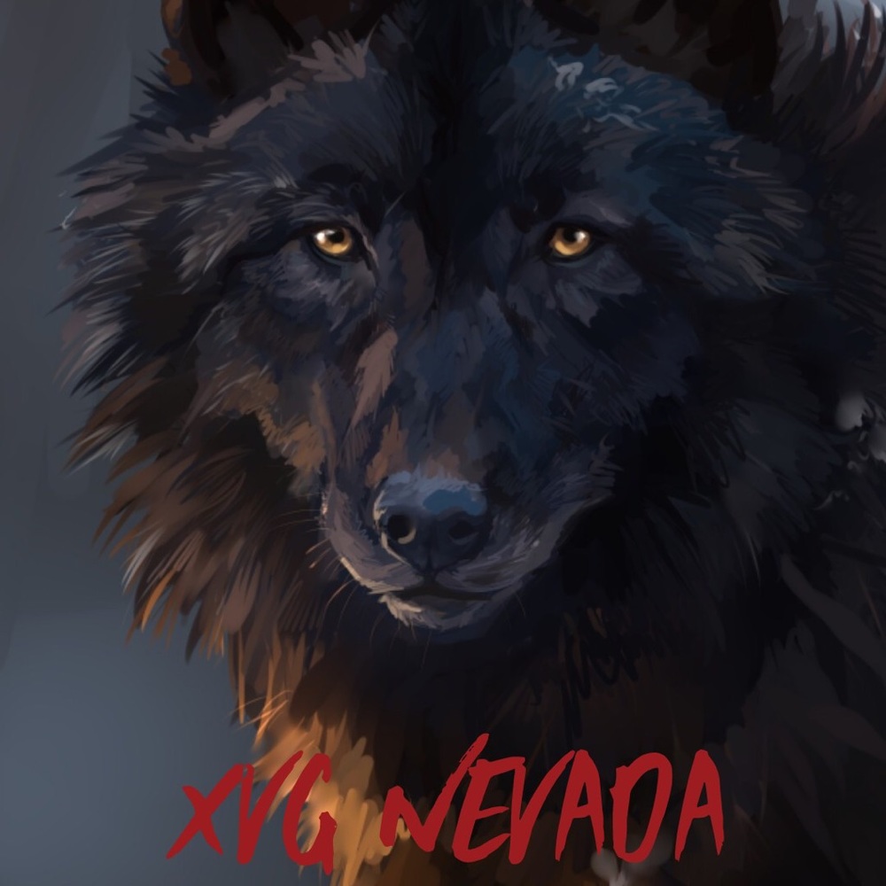 Meet your Posher, Mihailo